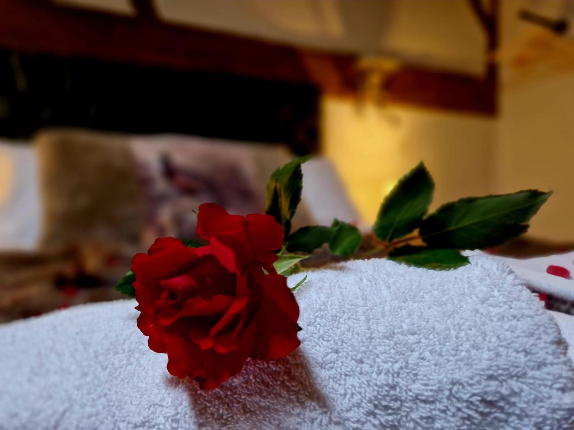 The Hamilton - The Studio Luxury Holiday Let'S Scorton  المظهر الخارجي الصورة